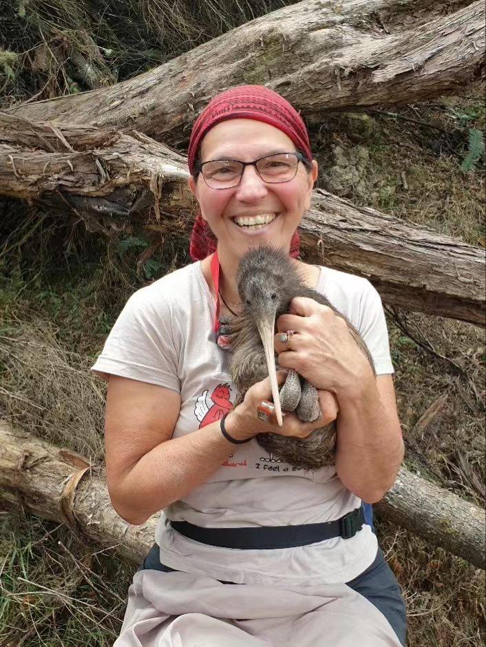 8868体育登录创新论坛第一千五百七十八讲：The most un-bird bird in the world: Discovering North Island Brown Kiwi