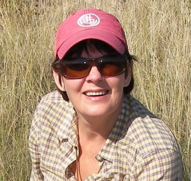 8868体育登录创新论坛第一千五百四十四讲：Intra-plate oceanic island basalts:  retrospective and perspectives 