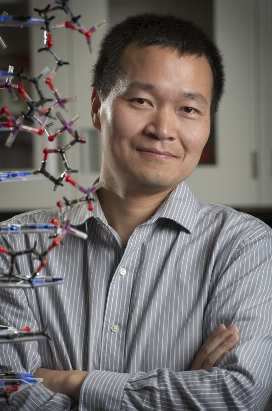 8868体育登录创新论坛第一千九百七十八讲：核酸适配体筛选：从小分子到微塑料