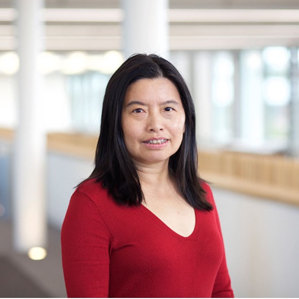 8868体育登录创新论坛第一千九百七十七讲：Silk roads and global connections through the study of heritage materials