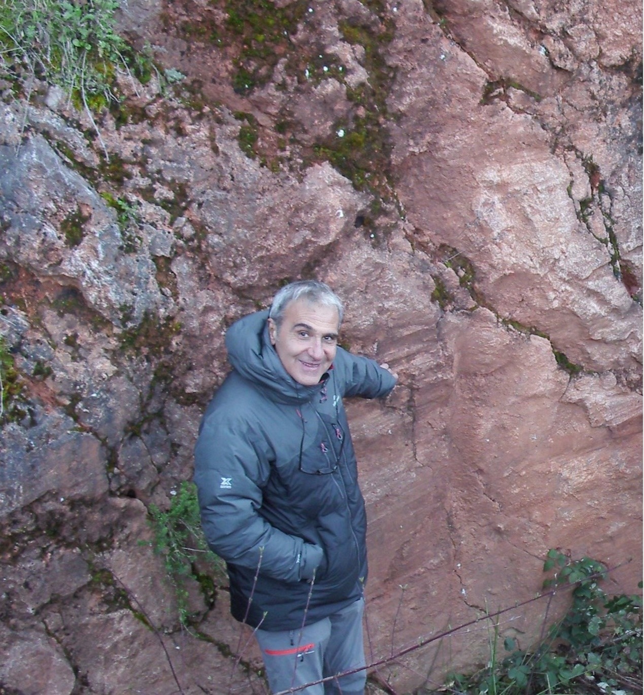 8868体育登录创新论坛第一千九百八十九讲：Isotopic Dating and Geochemical Tracing of Fault Rocks: Insights into Plate Evolution and Seismicity