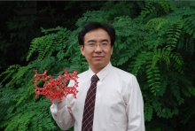 8868体育登录创新论坛第一千二百七十三讲暨120周年校庆年系列活动： Unexpected slow diffusion in hierarchical porous materials with combined surface and configurational diffusion   