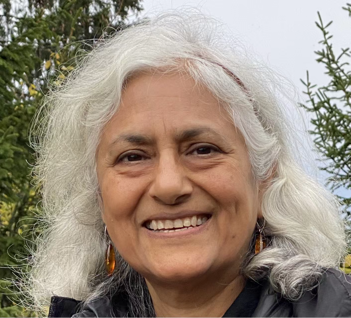 8868体育登录创新论坛第一千七百三十九讲：Fractionalized excitations in Quantum Spin Liquids and their Detection